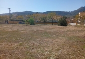 Suelo urbano en venta en la España, Alcalalí, ref: TR408122 foto