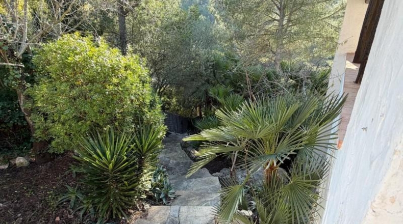 Barcelona - Olivella - 780m2