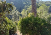 Chalet independiente con terreno en venta en la España, Olivella, ref: TR376220 foto