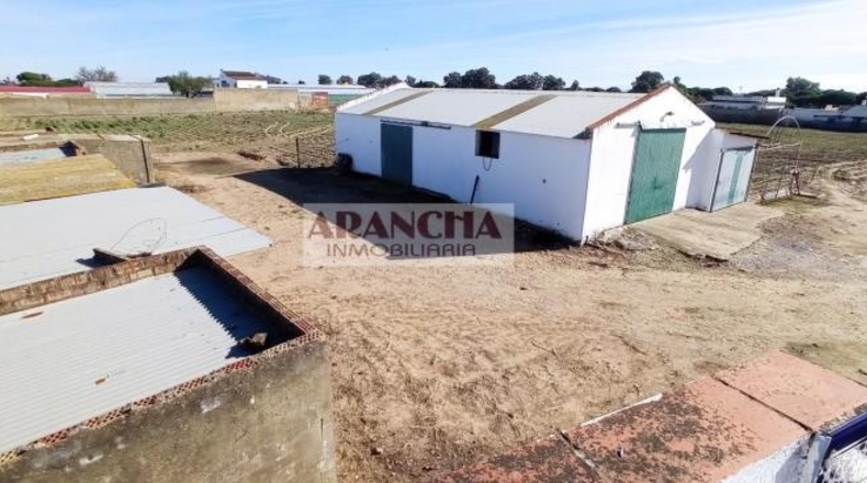 Cádiz - Chipiona - 6700m2