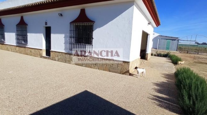 Cádiz - Chipiona - 6700m2