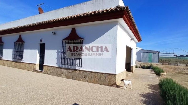 Cádiz - Chipiona - 6700m2