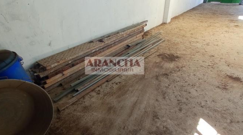 Cádiz - Chipiona - 6700m2