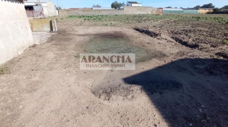 Cádiz - Chipiona - 6700m2