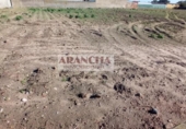 Casa de campo con terreno en venta en la España, Chipiona, ref: TR359037 foto