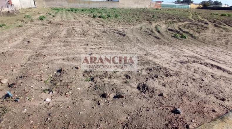 Cádiz - Chipiona - 6700m2