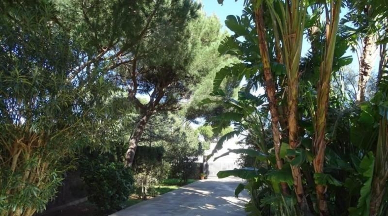 Cadiz - Chiclana de la Frontera - 2348m2