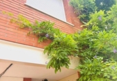 Casa de camp amb terreny en venda a la España, Castellbisbal, ref.: TR262905 foto