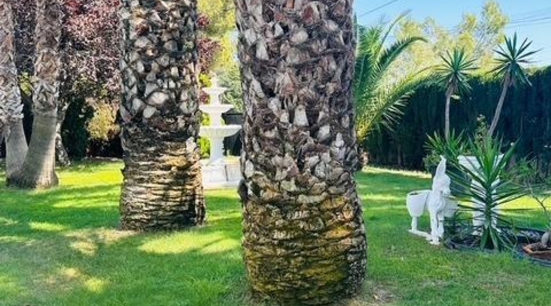 Barcelona - Castellbisbal - 1558m2