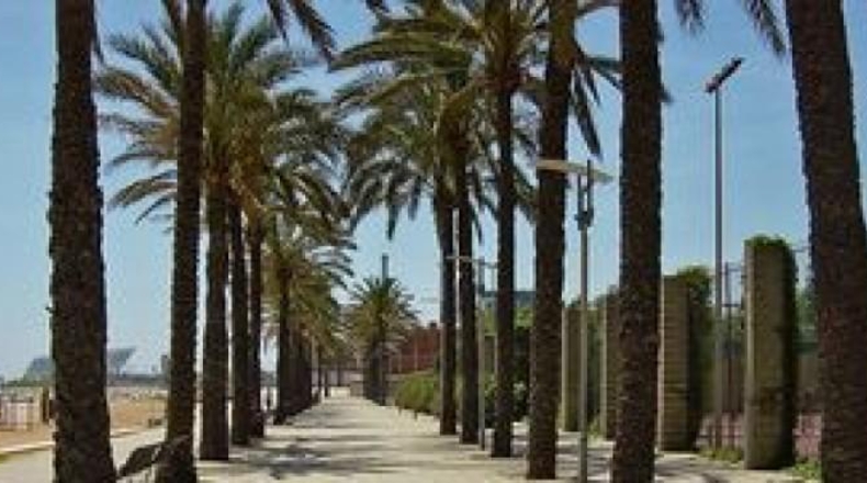 Barcelona - Sant Adrià de Besòs - 794m2
