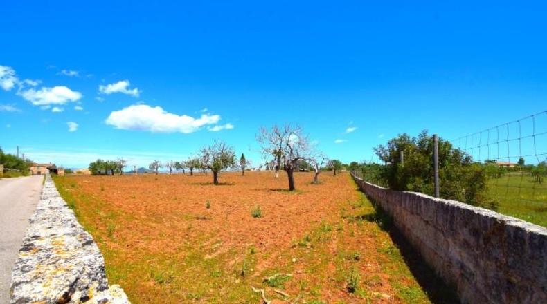 Islas Baleares - Santa Margalida - 8325m2