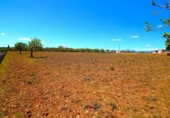 Non-developable land for sale on España, Santa Margalida, ref: TR408160 photo