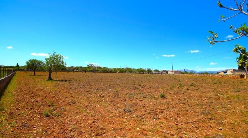 Islas Baleares - Santa Margalida - 8325m2