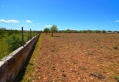 Non-developable land for sale on España, Santa Margalida, ref: TR408160 photo