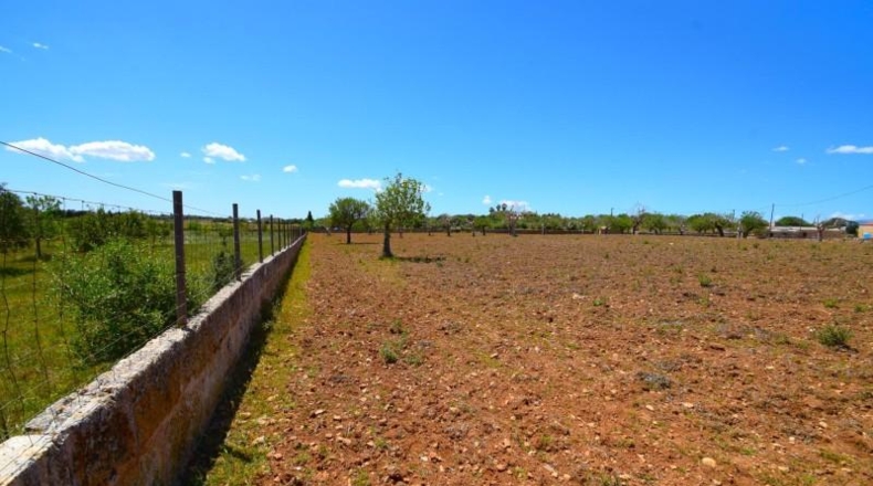 Islas Baleares - Santa Margalida - 8325m2