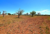 Non-developable land for sale on España, Santa Margalida, ref: TR408160 photo