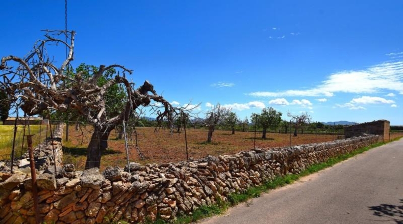 Islas Baleares - Santa Margalida - 8325m2