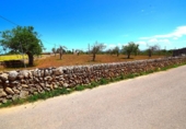Non-developable land for sale on España, Santa Margalida, ref: TR408160 photo