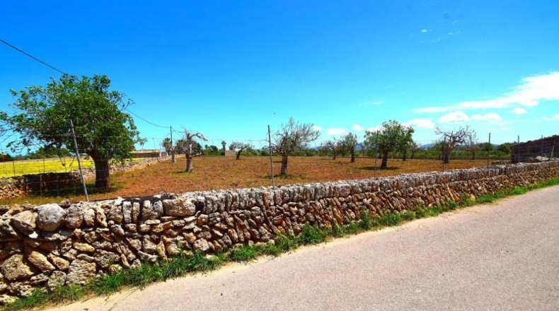 Islas Baleares - Santa Margalida - 8325m2