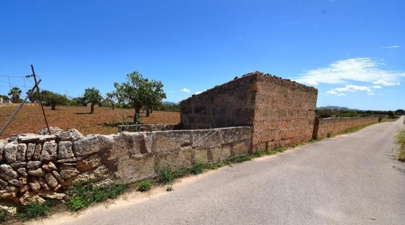 Islas Baleares - Santa Margalida - 8325m2