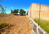 Non-developable land for sale on España, Santa Margalida, ref: TR408160 photo