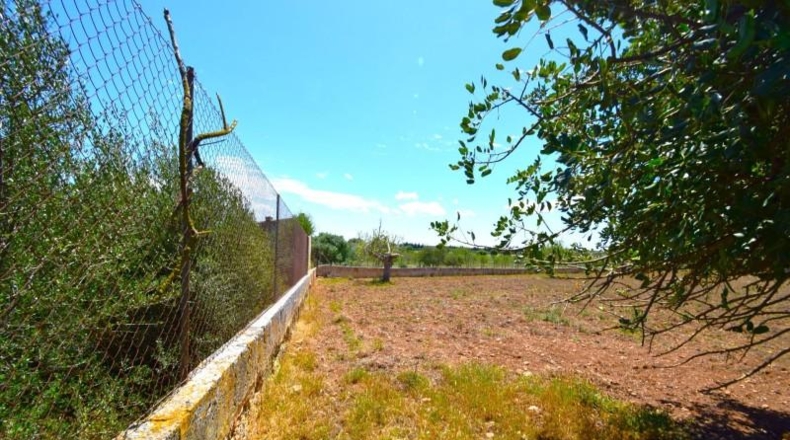 Islas Baleares - Santa Margalida - 8325m2