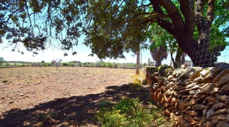 Islas Baleares - Santa Margalida - 8325m2