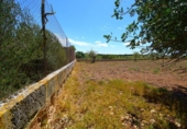 Non-developable land for sale on España, Santa Margalida, ref: TR408160 photo