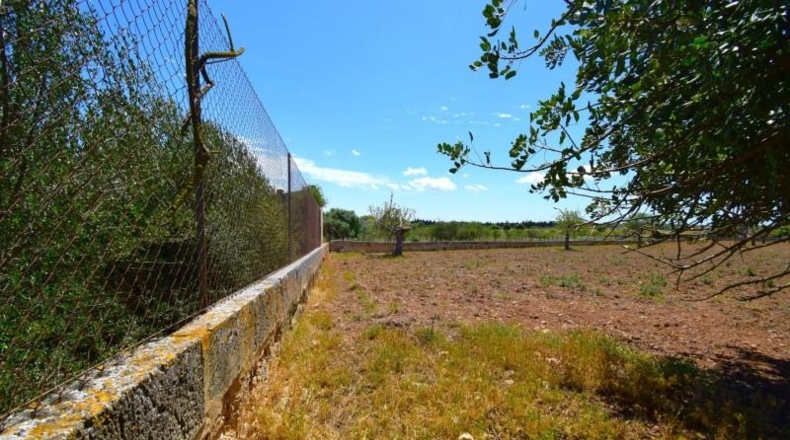 Islas Baleares - Santa Margalida - 8325m2