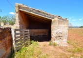 Non-developable land for sale on España, Santa Margalida, ref: TR408160 photo