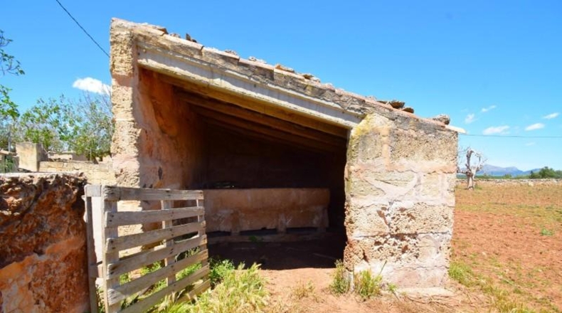 Islas Baleares - Santa Margalida - 8325m2