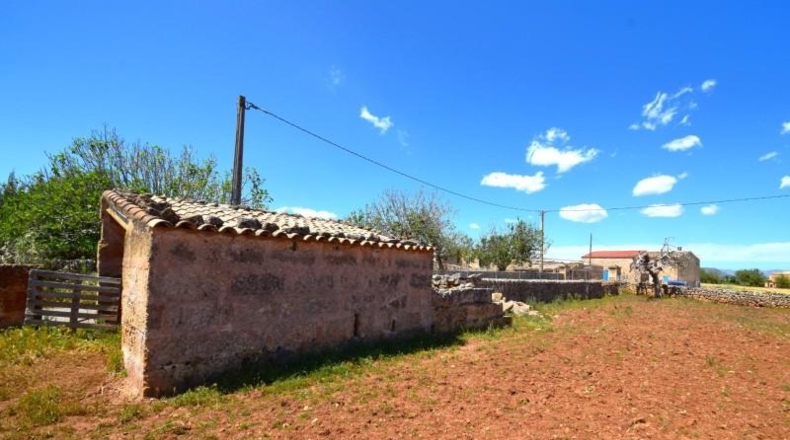 Islas Baleares - Santa Margalida - 8325m2