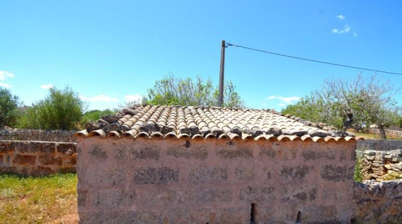 Islas Baleares - Santa Margalida - 8325m2