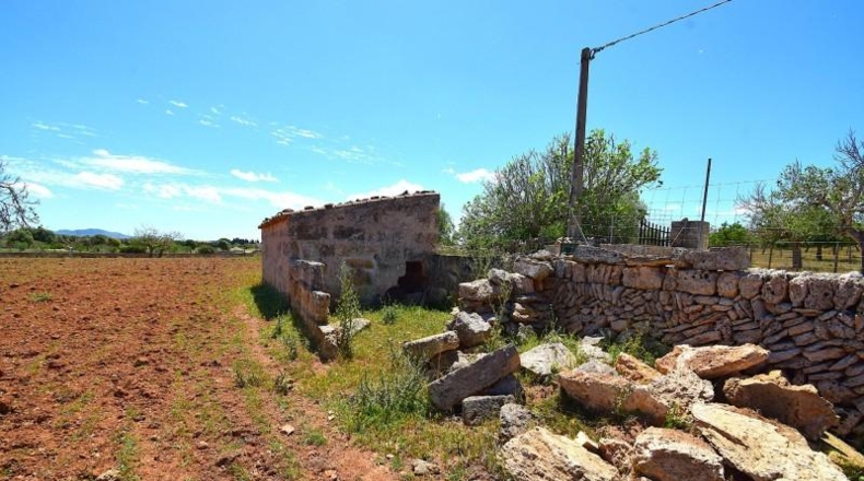Islas Baleares - Santa Margalida - 8325m2
