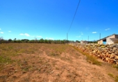 Non-developable land for sale on España, Santa Margalida, ref: TR408160 photo