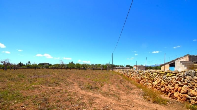 Islas Baleares - Santa Margalida - 8325m2
