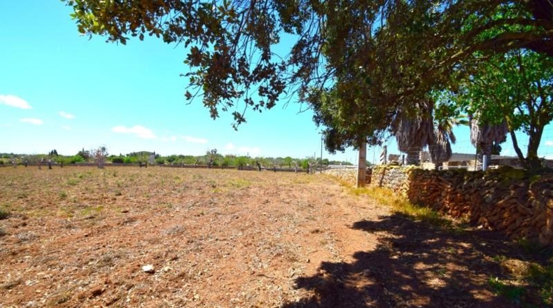 Islas Baleares - Santa Margalida - 8325m2