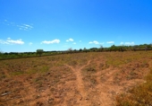 Non-developable land for sale on España, Santa Margalida, ref: TR408160 photo