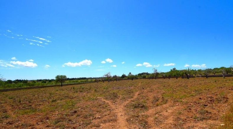 Islas Baleares - Santa Margalida - 8325m2