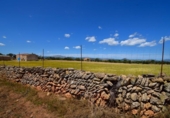 Non-developable land for sale on España, Santa Margalida, ref: TR408160 photo