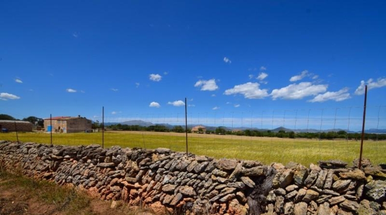 Islas Baleares - Santa Margalida - 8325m2