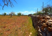 Non-developable land for sale on España, Santa Margalida, ref: TR408160 photo