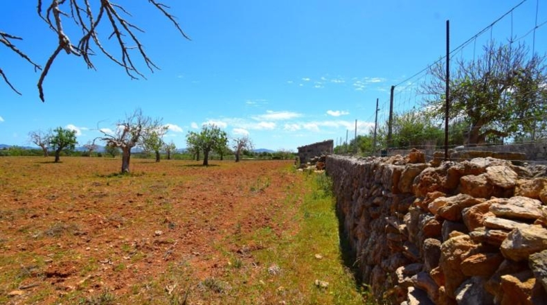 Islas Baleares - Santa Margalida - 8325m2