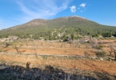 Terreno no urbanizable en venta en la España, Madrid, ref: TR408166 foto