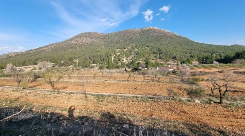 Comunidad de Madrid - Madrid - 30000m2