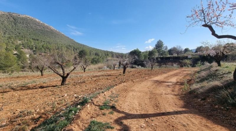 Comunidad de Madrid - Madrid - 30000m2