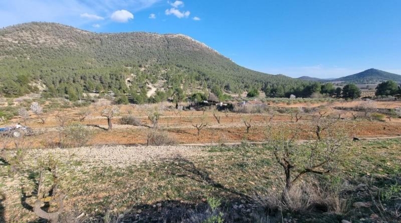 Comunidad de Madrid - Madrid - 30000m2