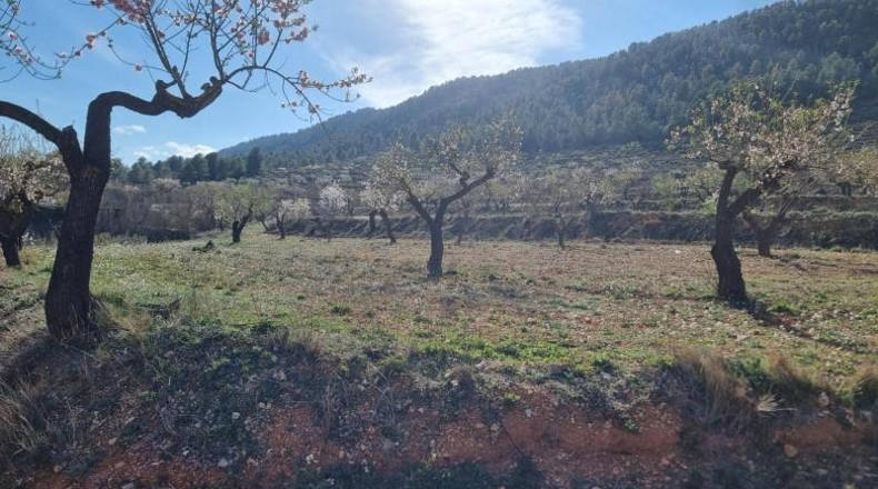 Comunidad de Madrid - Madrid - 30000m2