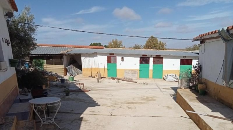Albacete - Chinchilla de Montearagón - 257m2