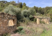 Detached villa with land for sale on España, Arens de Lledó, ref: TR408169 photo